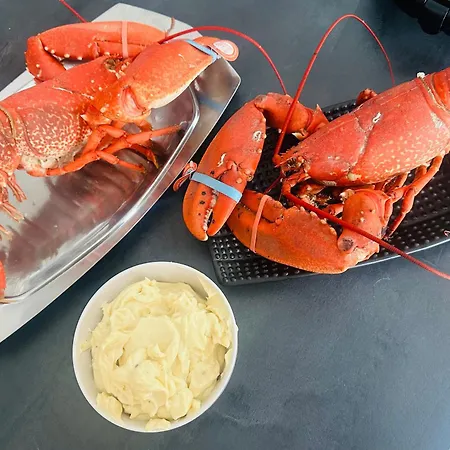 La Bulle Des Coucous * Saint-Hilaire-de-Riez