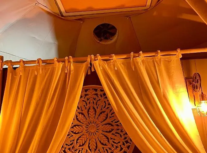 La Bulle Des Coucous