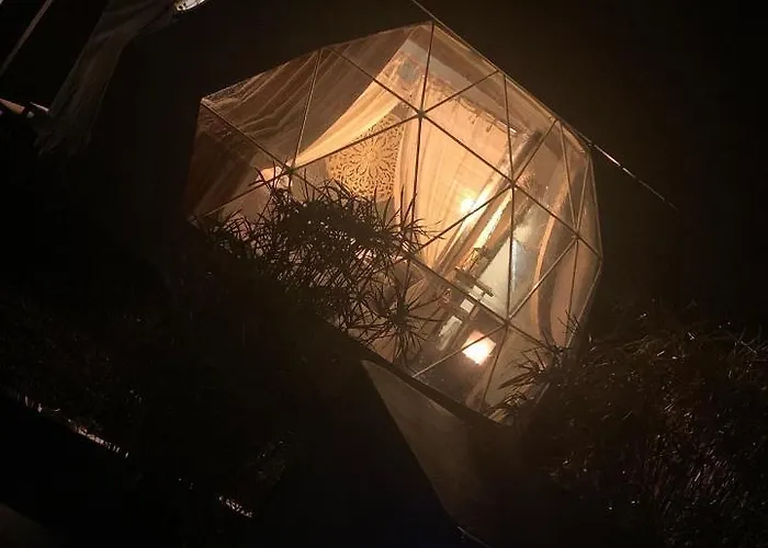 La Bulle Des Coucous