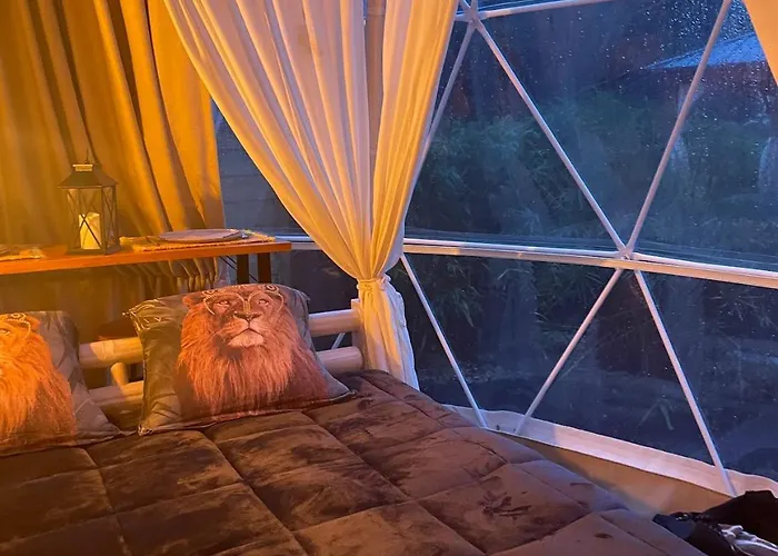 La Bulle Des Coucous *