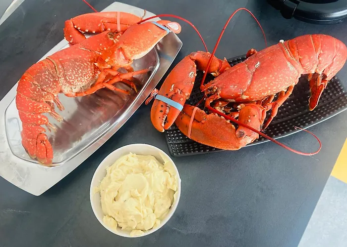 La Bulle Des Coucous * Saint-Hilaire-de-Riez