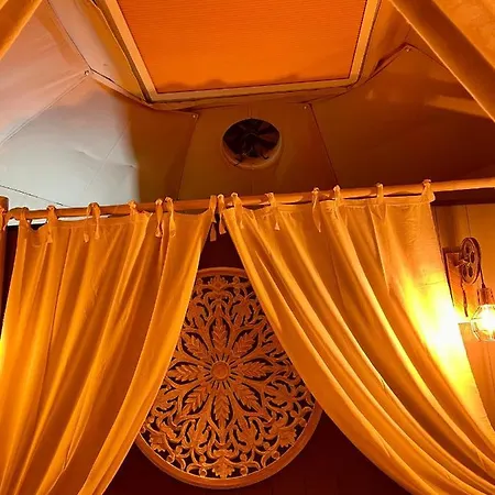 La Bulle Des Coucous