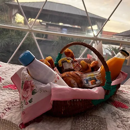 La Bulle Des Coucous