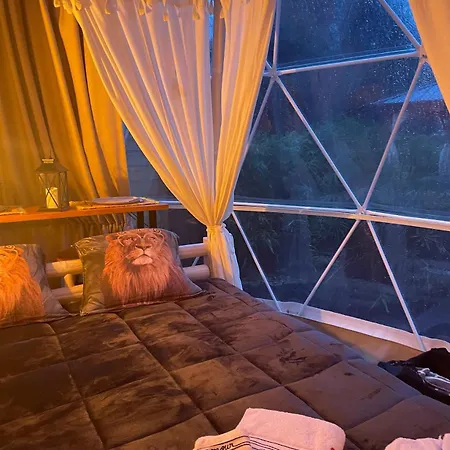 La Bulle Des Coucous *