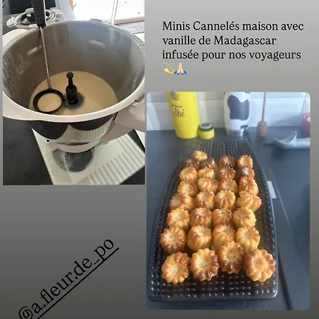 Luxury tent La Bulle Des Coucous *