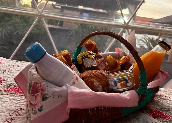 La Bulle Des Coucous