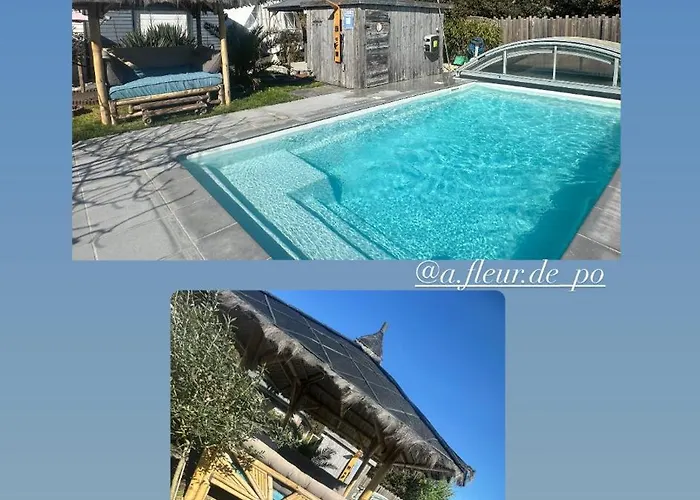 La Bulle Des Coucous